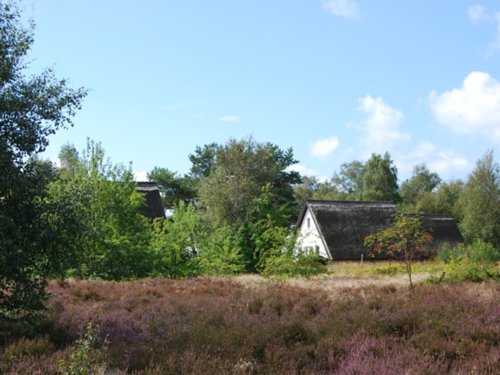 Doppelhaushaelfte In Vitte Auf Hiddensee المظهر الخارجي الصورة